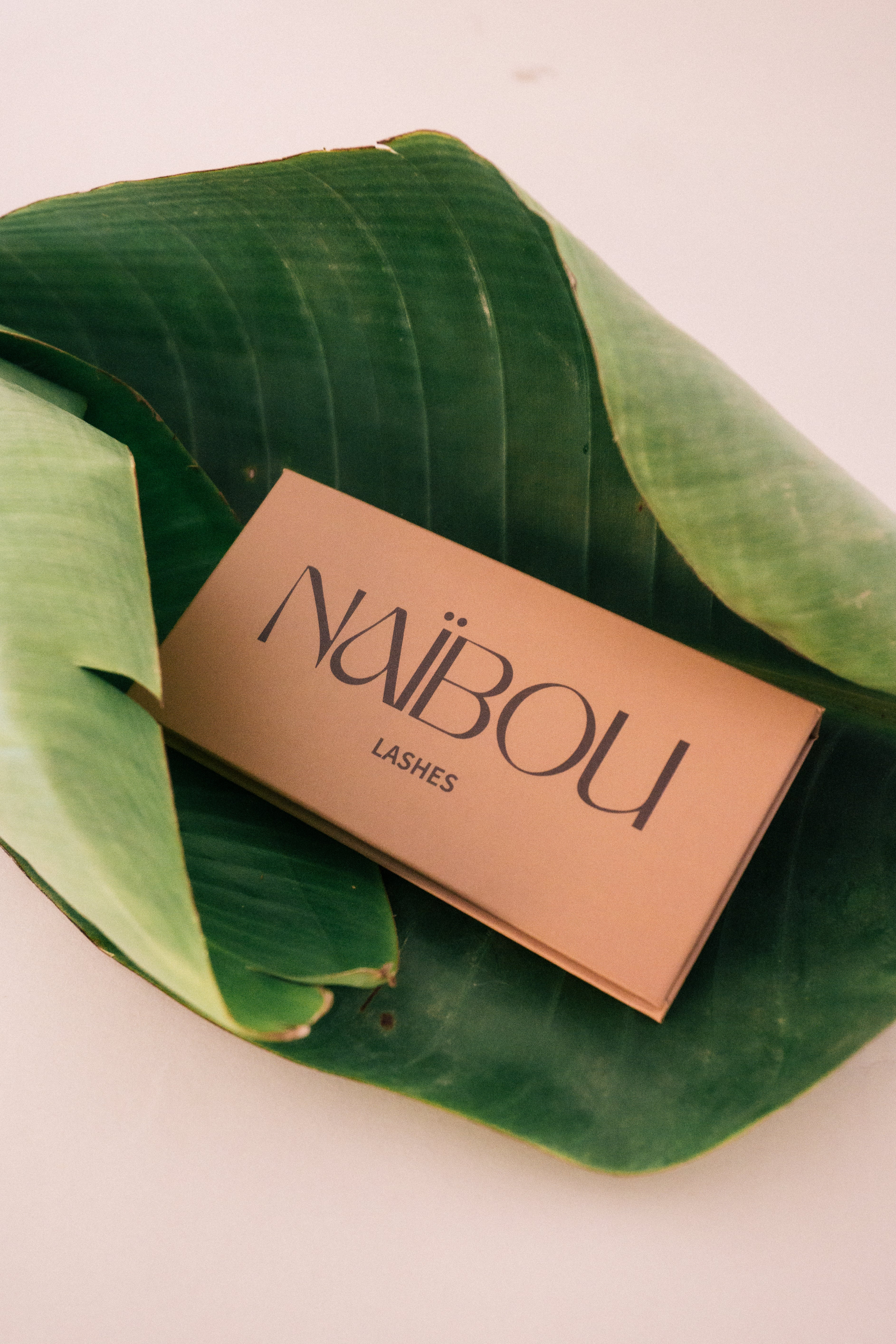 Cils Magnétiques Oeil de biche